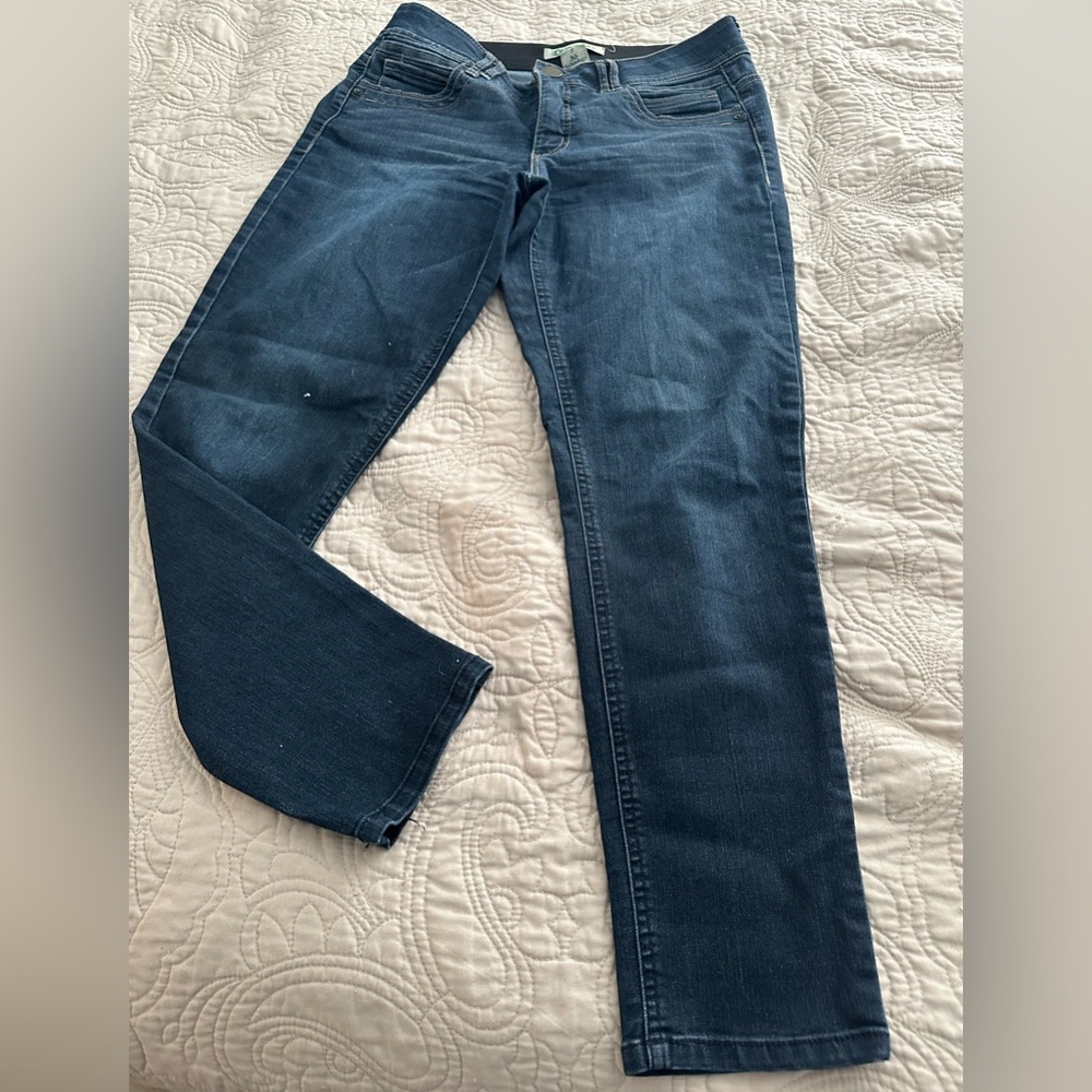 Democracy Dark Blue Skinny Jeans
